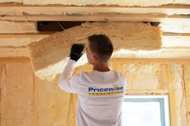 Best Eco-Friendly Insulation Solutions  in Lakemoor, IL